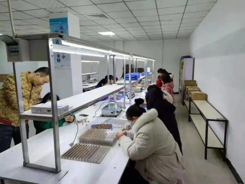 牛头店镇与昌鸿新社区工厂正式开工，赋能乡村振兴与社会经济咨询服务